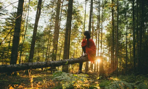 woman on a log in a forest